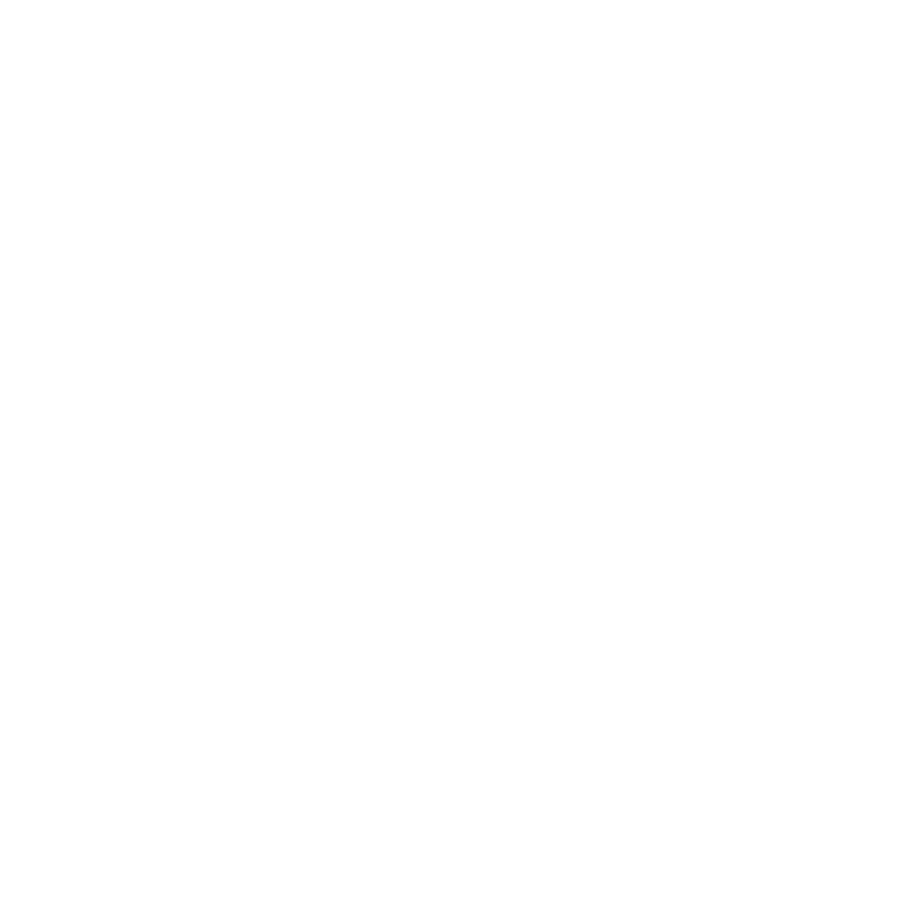 Network Tech Institute logo